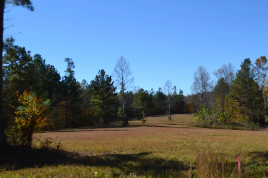 0 Whitson Hollow Road Red Boiling Springs TN 37150