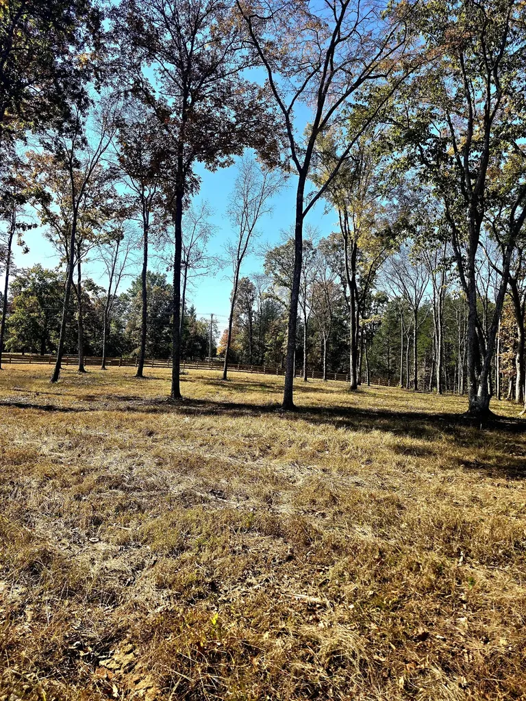 0 Kedron Road Spring Hill TN 37174