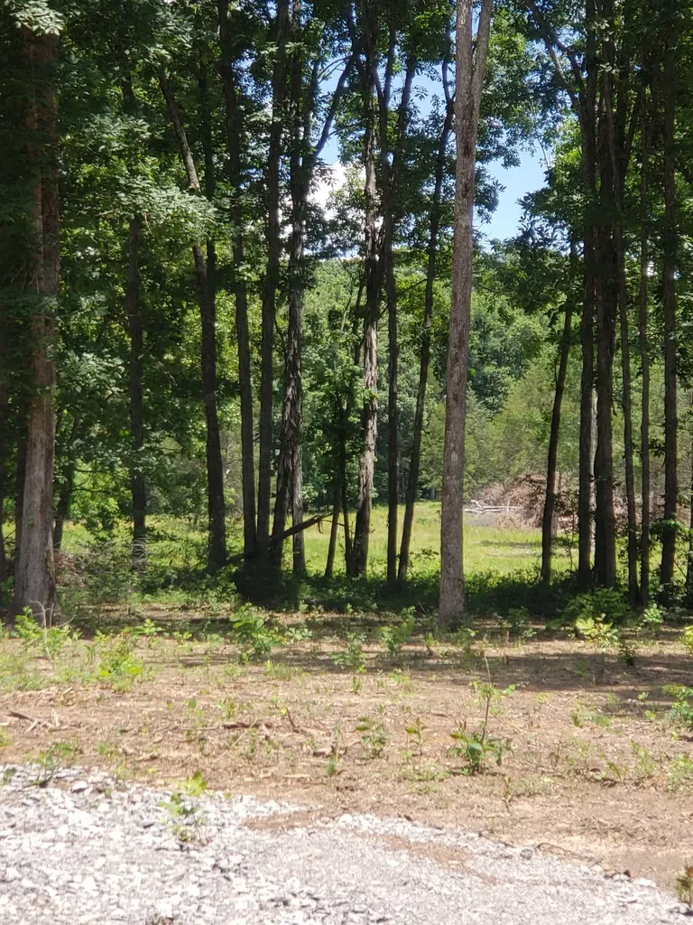 0 Kedron Road Spring Hill TN 37174