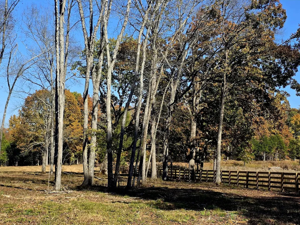 0 Kedron Road Spring Hill TN 37174