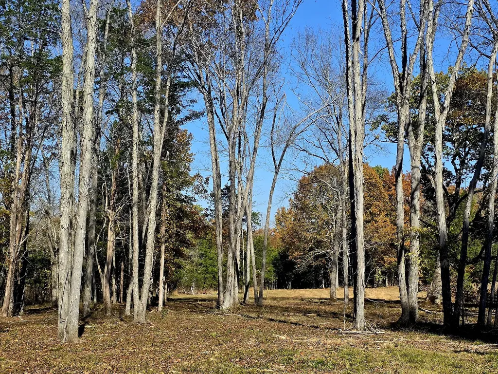 0 Kedron Road Spring Hill TN 37174