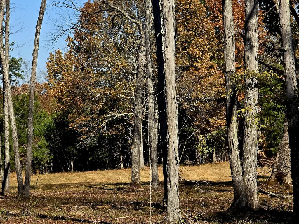 0 Kedron Road Spring Hill TN 37174
