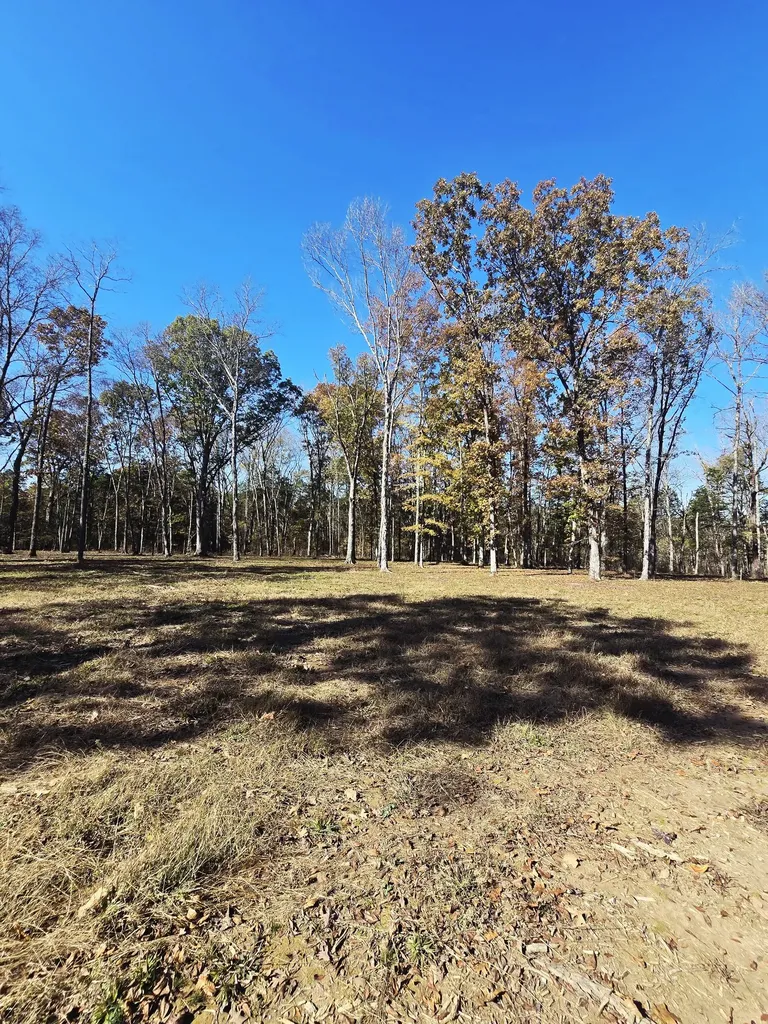 0 Kedron Road Spring Hill TN 37174