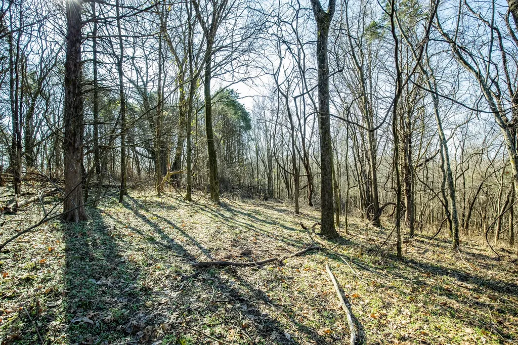0 Nicholson Schoolhouse Road Columbia TN 38401