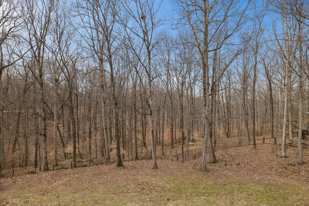 1358 Old Charlotte Pike Pegram TN 37143