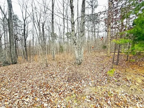 0 Wohalie Lane South Pittsburg TN 37380