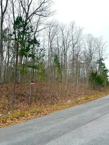 0 Wohalie Lane South Pittsburg TN 37380