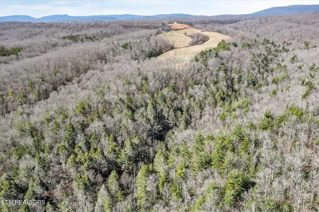 0 Dogwood Road Grandview TN 37337