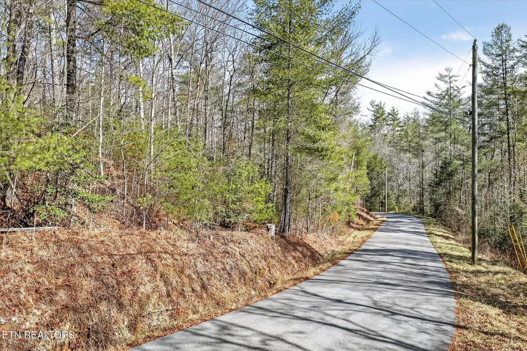 0 Dogwood Road Grandview TN 37337