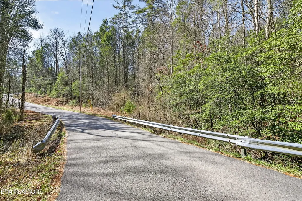 0 Dogwood Road Grandview TN 37337
