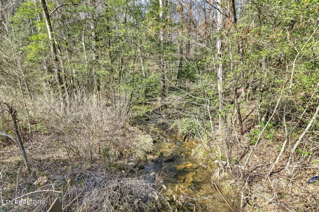0 Dogwood Road Grandview TN 37337
