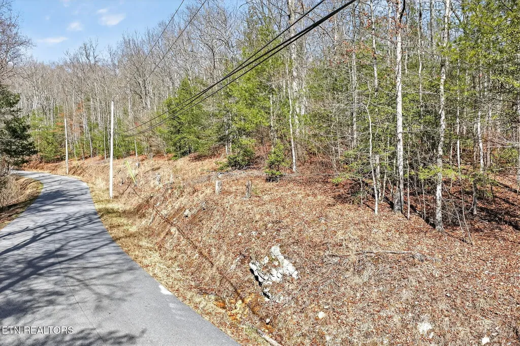 0 Dogwood Road Grandview TN 37337