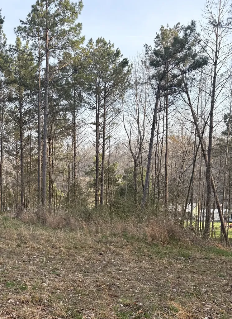 1429 Old Stage Road Charlotte TN 37036