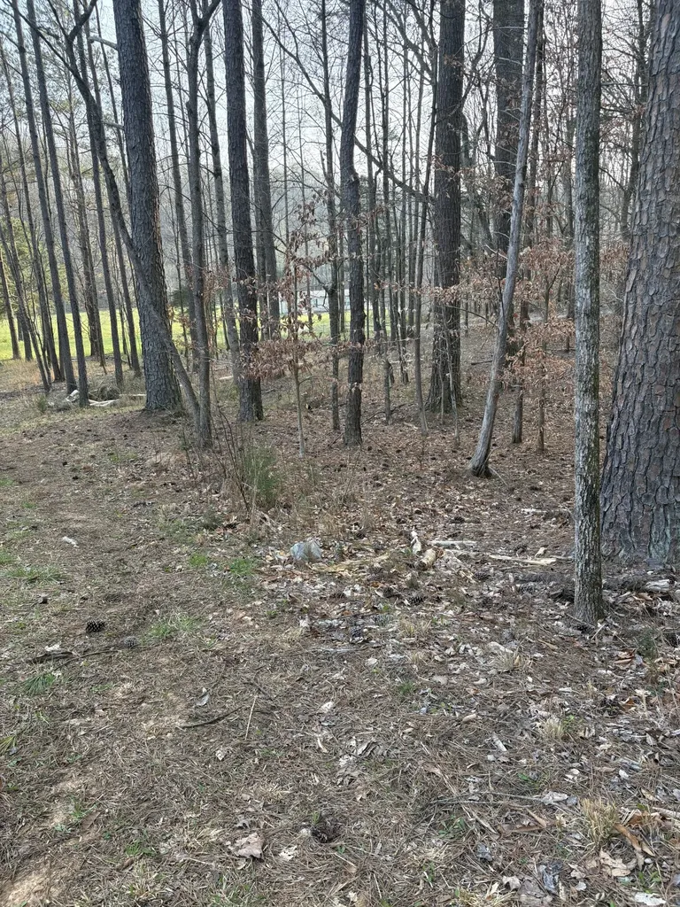 1429 Old Stage Road Charlotte TN 37036