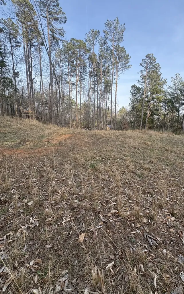 1429 Old Stage Road Charlotte TN 37036