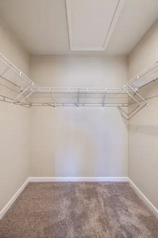 3104 Bent Tree Lane Columbia TN 38401