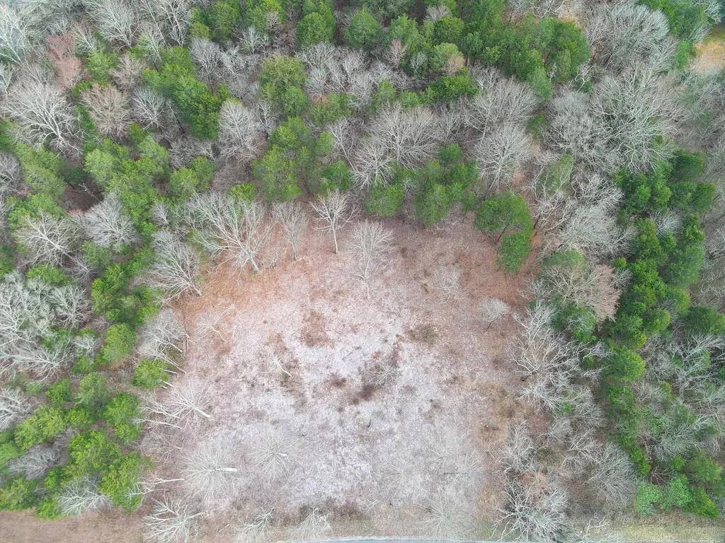 0 Bedford Lake Road Shelbyville TN 37160