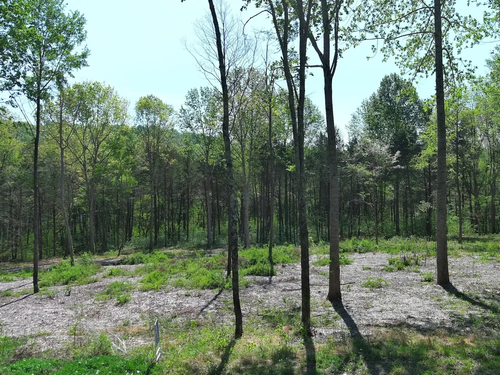 0 Bedford Lake Road Shelbyville TN 37160