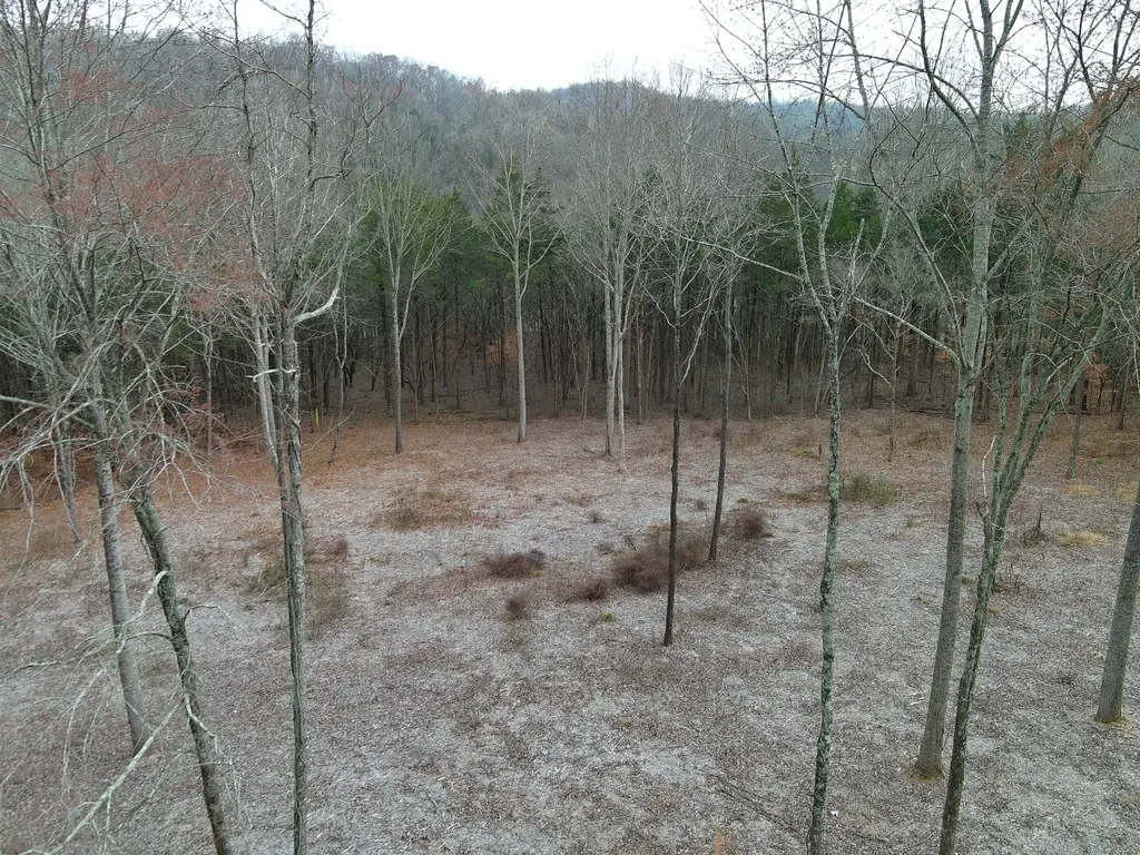 0 Bedford Lake Road Shelbyville TN 37160