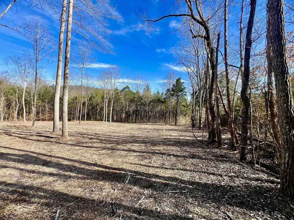 0 Bedford Lake Road Shelbyville TN 37160