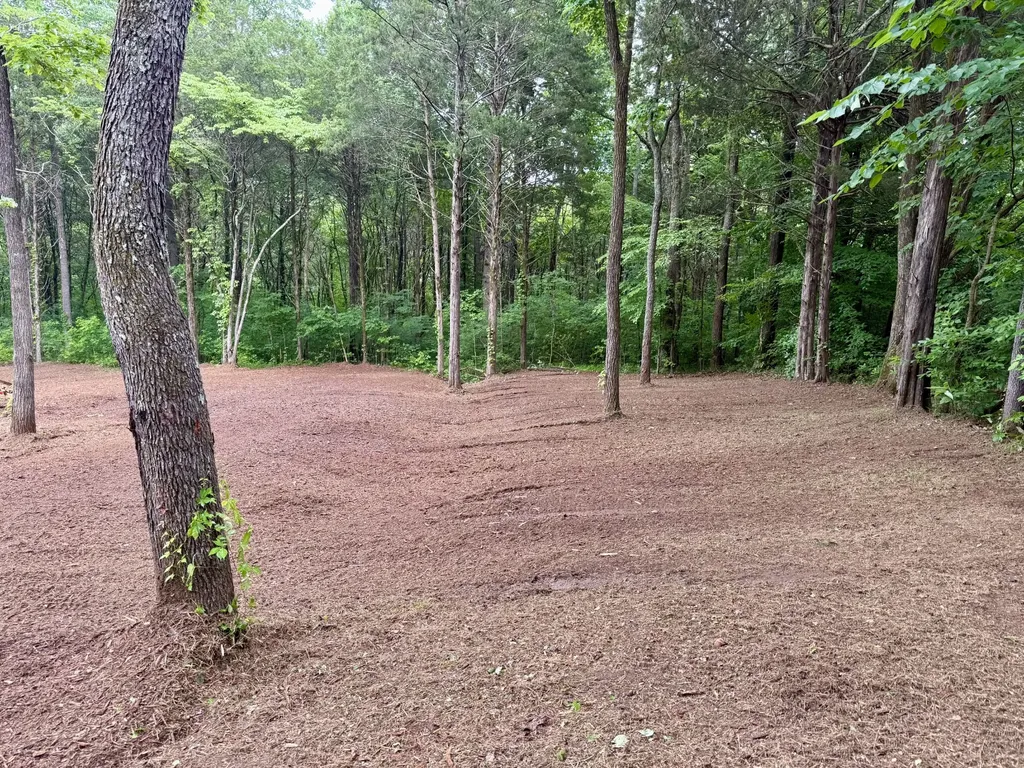 0 Bedford Lake Road Shelbyville TN 37160