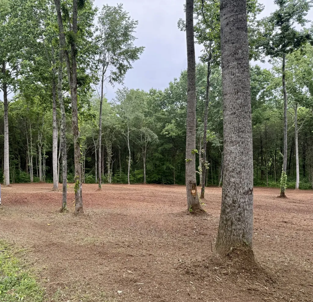 0 Bedford Lake Road Shelbyville TN 37160