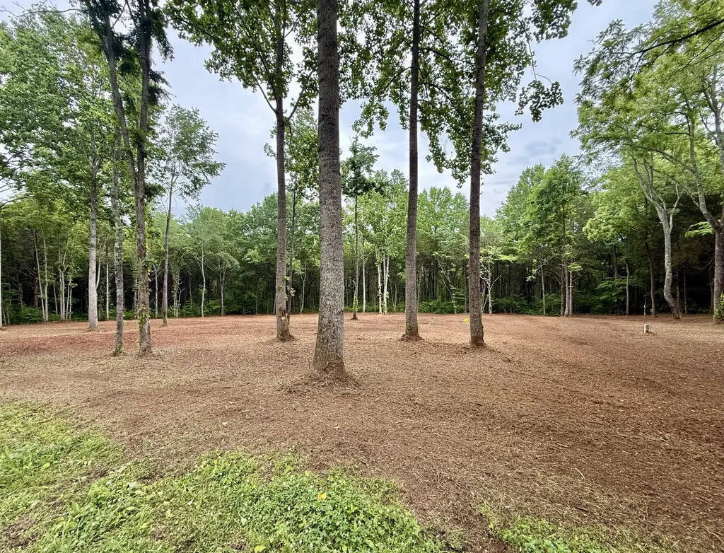 0 Bedford Lake Road Shelbyville TN 37160