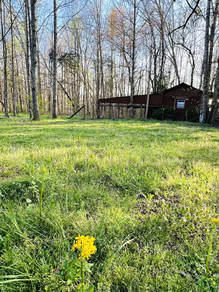 233 Taylor Lake Road Morrison TN 37357