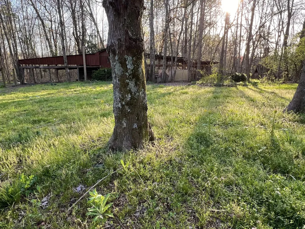 233 Taylor Lake Road Morrison TN 37357