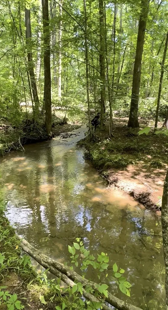 233 Taylor Lake Road Morrison TN 37357