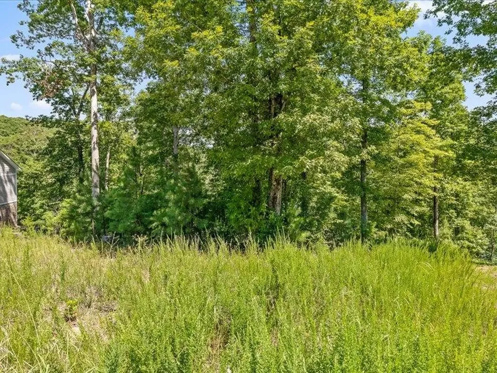15887 Channel Pointe Drive Sale Creek TN 37373