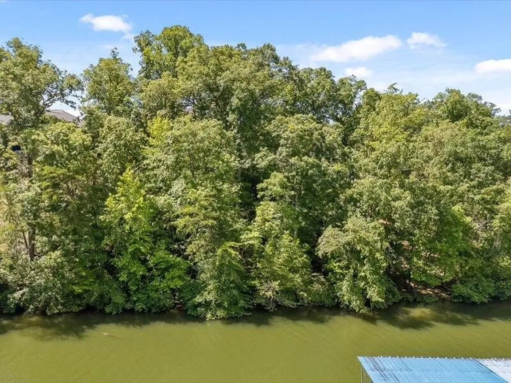 15887 Channel Pointe Drive Sale Creek TN 37373