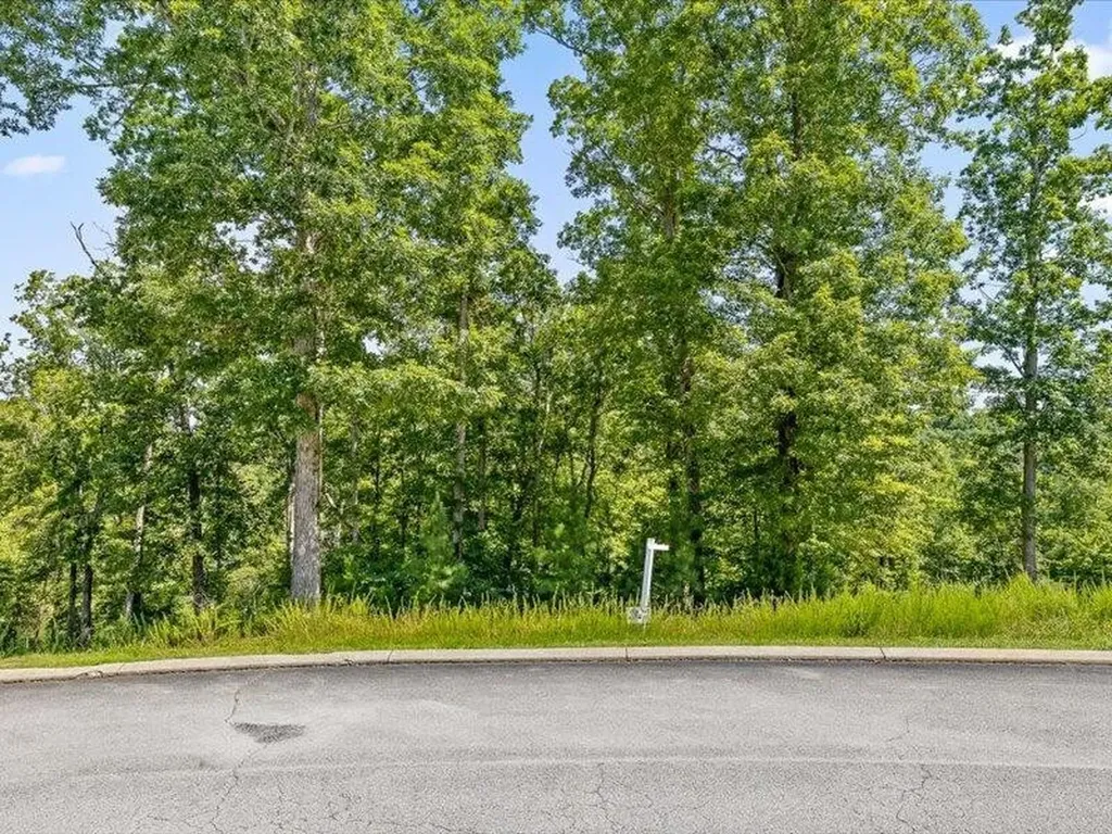 15887 Channel Pointe Drive Sale Creek TN 37373