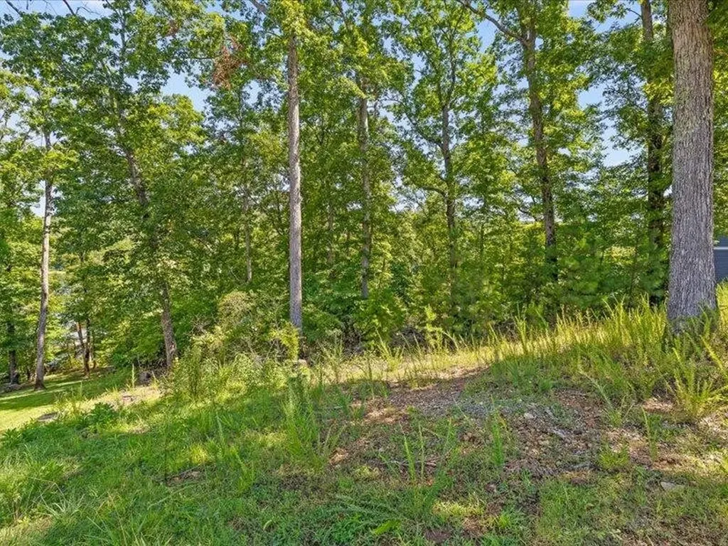 15887 Channel Pointe Drive Sale Creek TN 37373