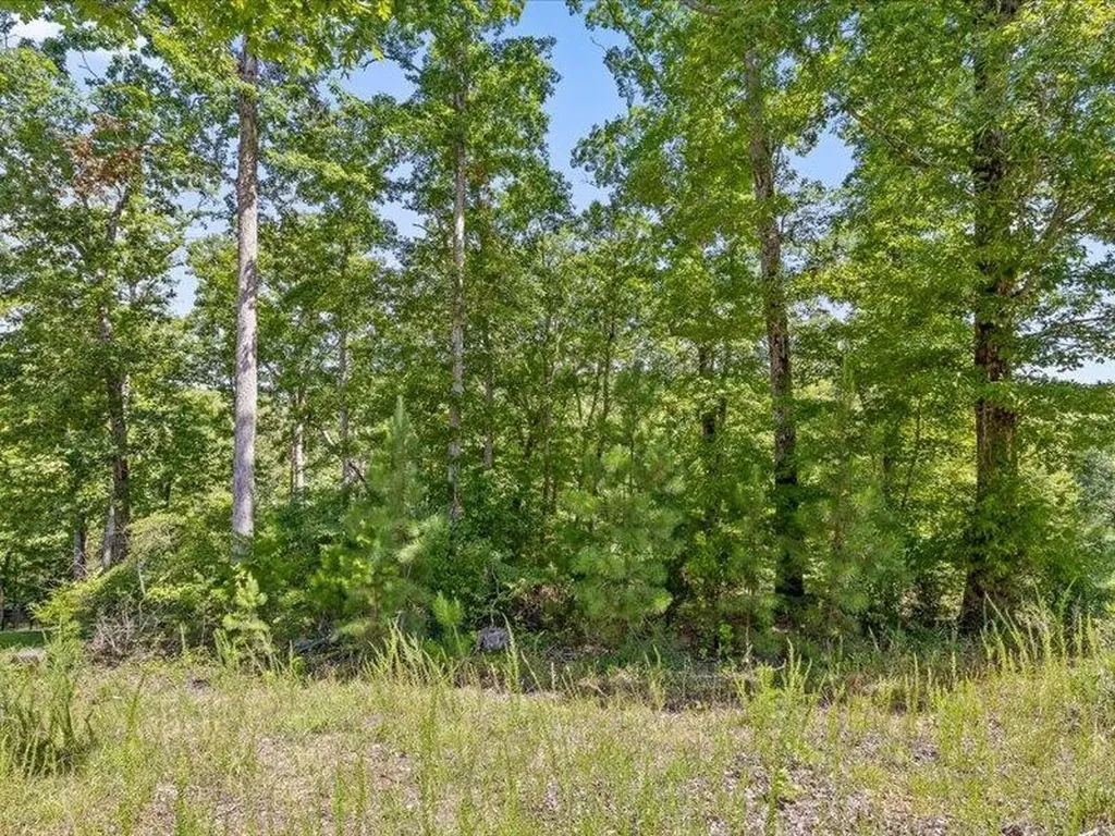 15887 Channel Pointe Drive Sale Creek TN 37373