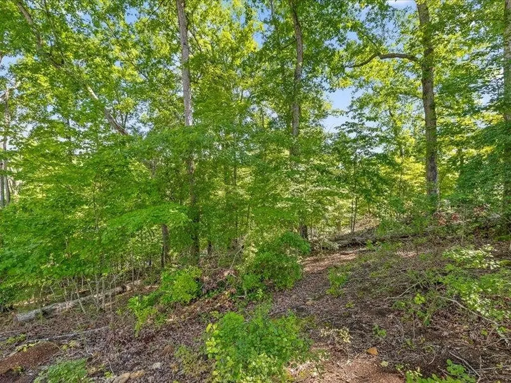 15887 Channel Pointe Drive Sale Creek TN 37373