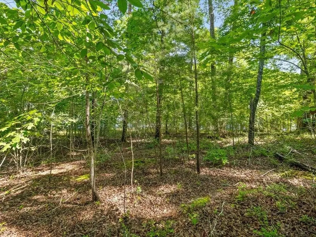 15887 Channel Pointe Drive Sale Creek TN 37373