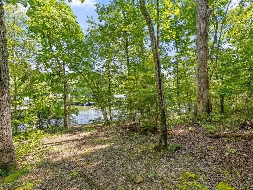 15887 Channel Pointe Drive Sale Creek TN 37373