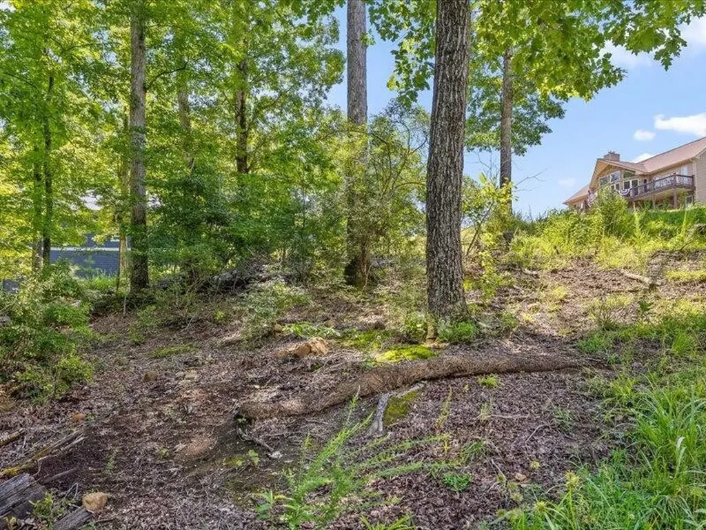 15887 Channel Pointe Drive Sale Creek TN 37373