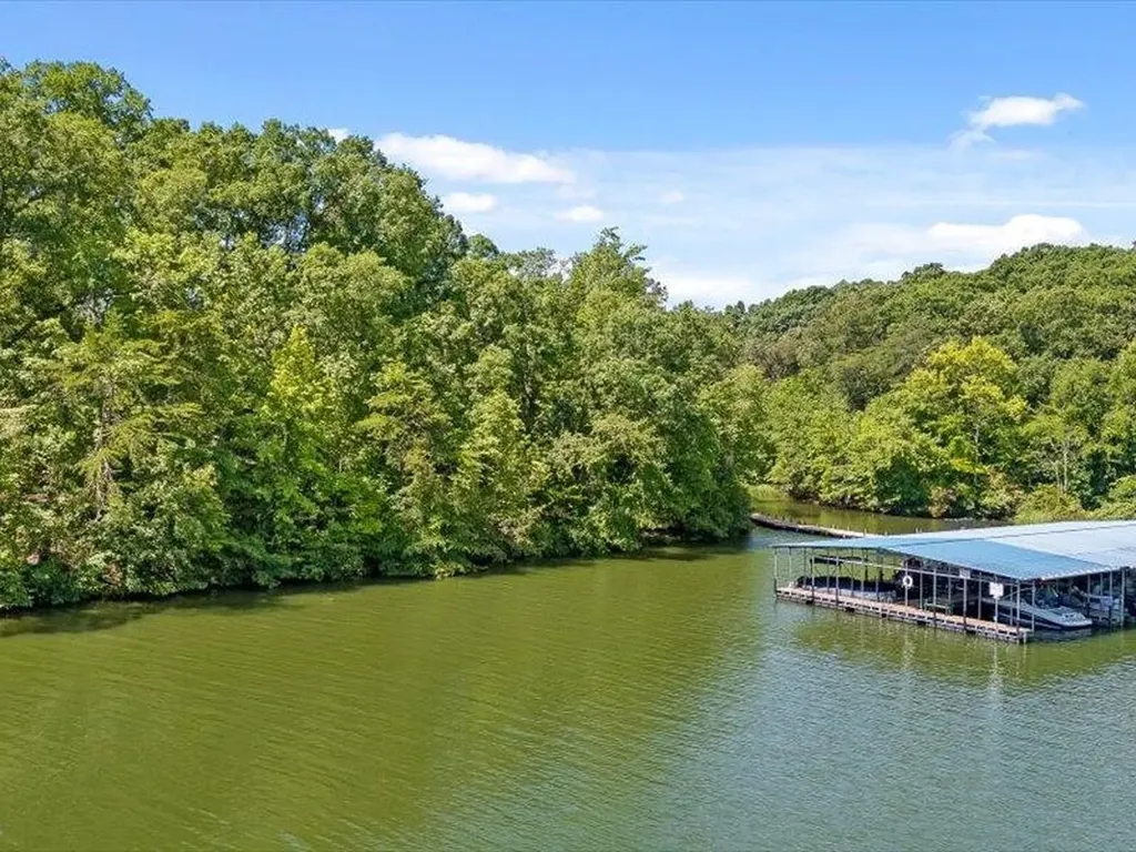 15887 Channel Pointe Drive Sale Creek TN 37373