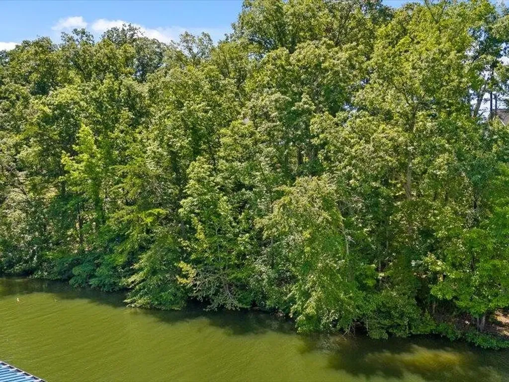 15887 Channel Pointe Drive Sale Creek TN 37373