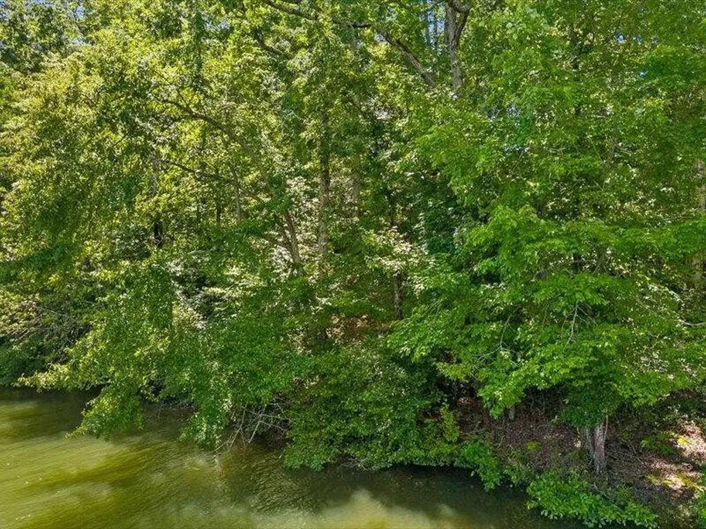 15887 Channel Pointe Drive Sale Creek TN 37373