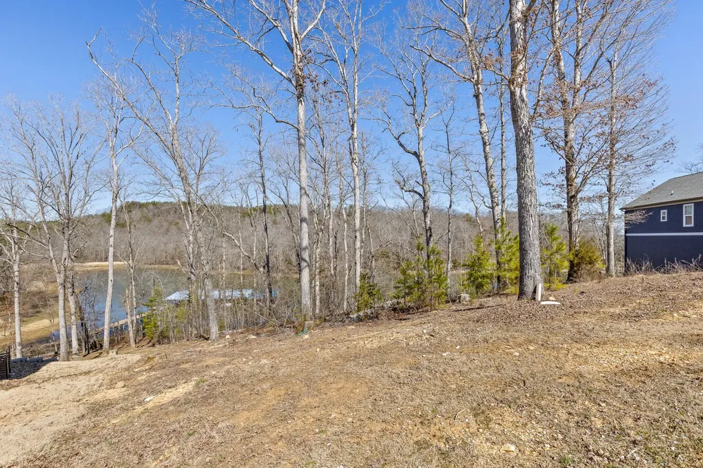 15887 Channel Pointe Drive Sale Creek TN 37373