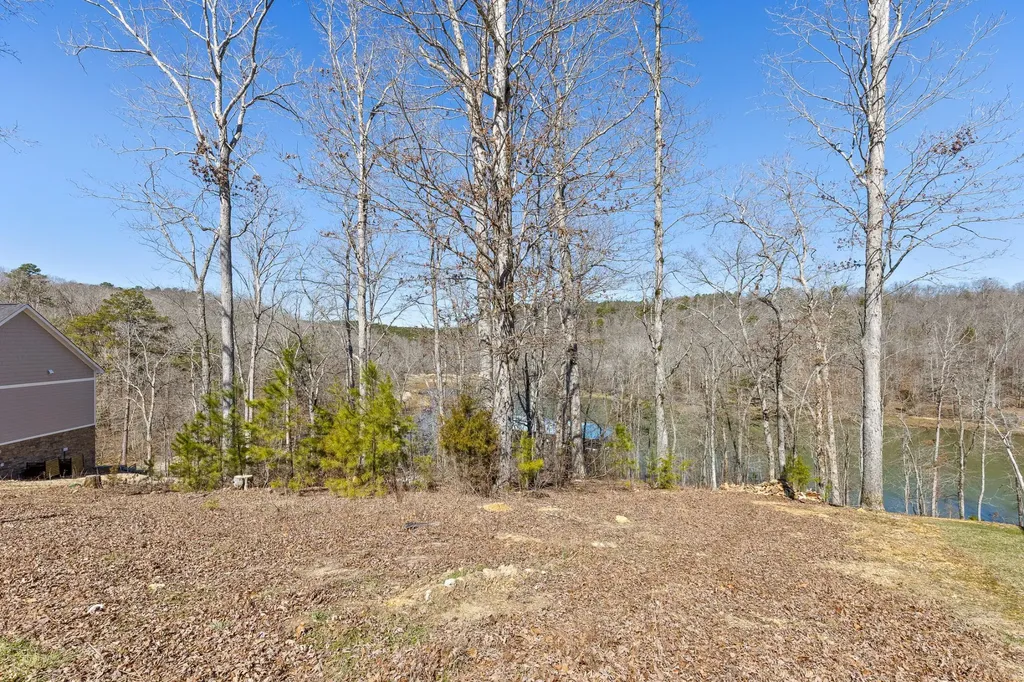 15887 Channel Pointe Drive Sale Creek TN 37373