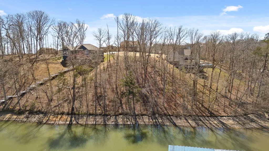 15887 Channel Pointe Drive Sale Creek TN 37373