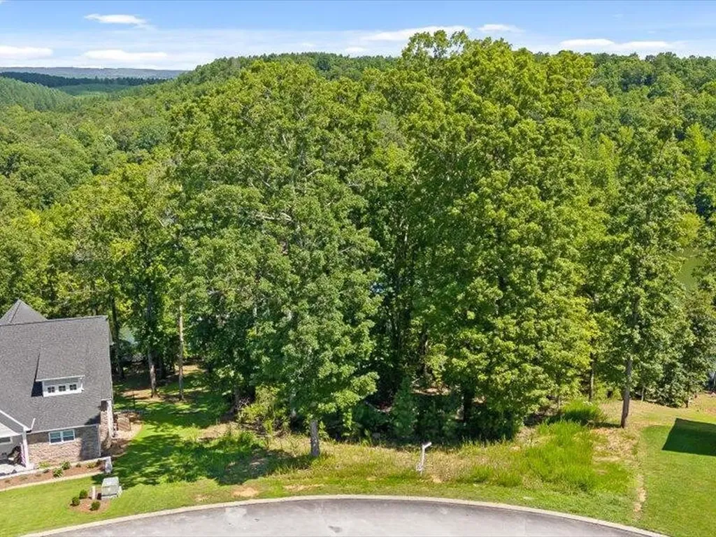 15887 Channel Pointe Drive Sale Creek TN 37373
