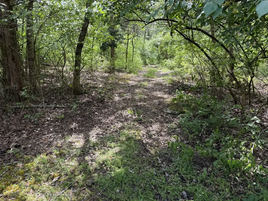 530 Moncrief Avenue Goodlettsville TN 37072