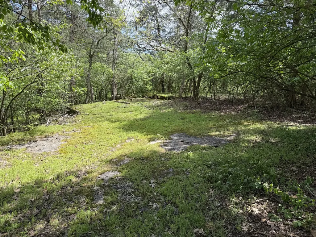 530 Moncrief Avenue Goodlettsville TN 37072