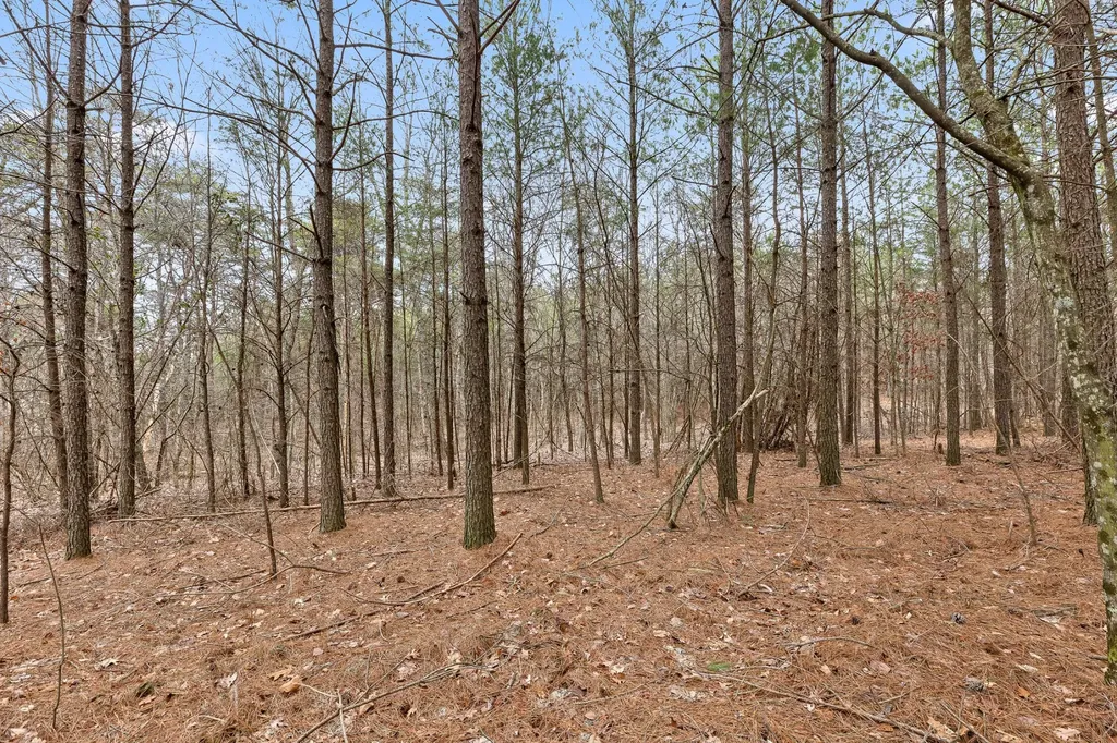 0 Crockett Point Sequatchie TN 37374