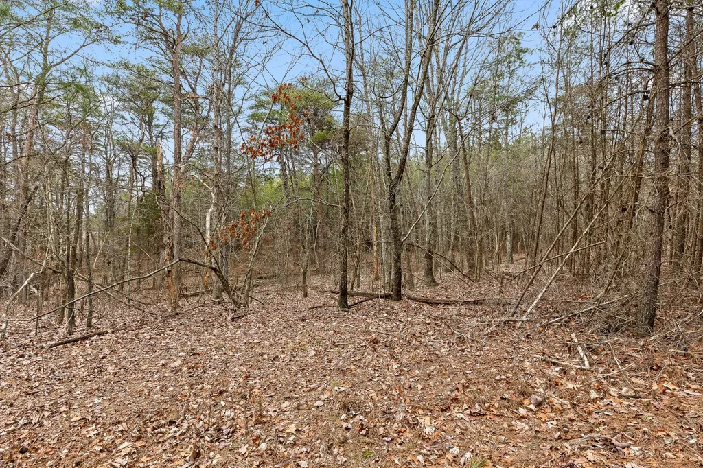 0 Crockett Point Sequatchie TN 37374